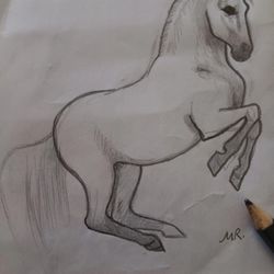 MINIATURE HORSE SKETCH ON PAPER UNFRAMED ORLANDO AREA