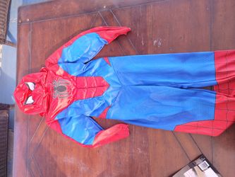 Spiderman Custome
