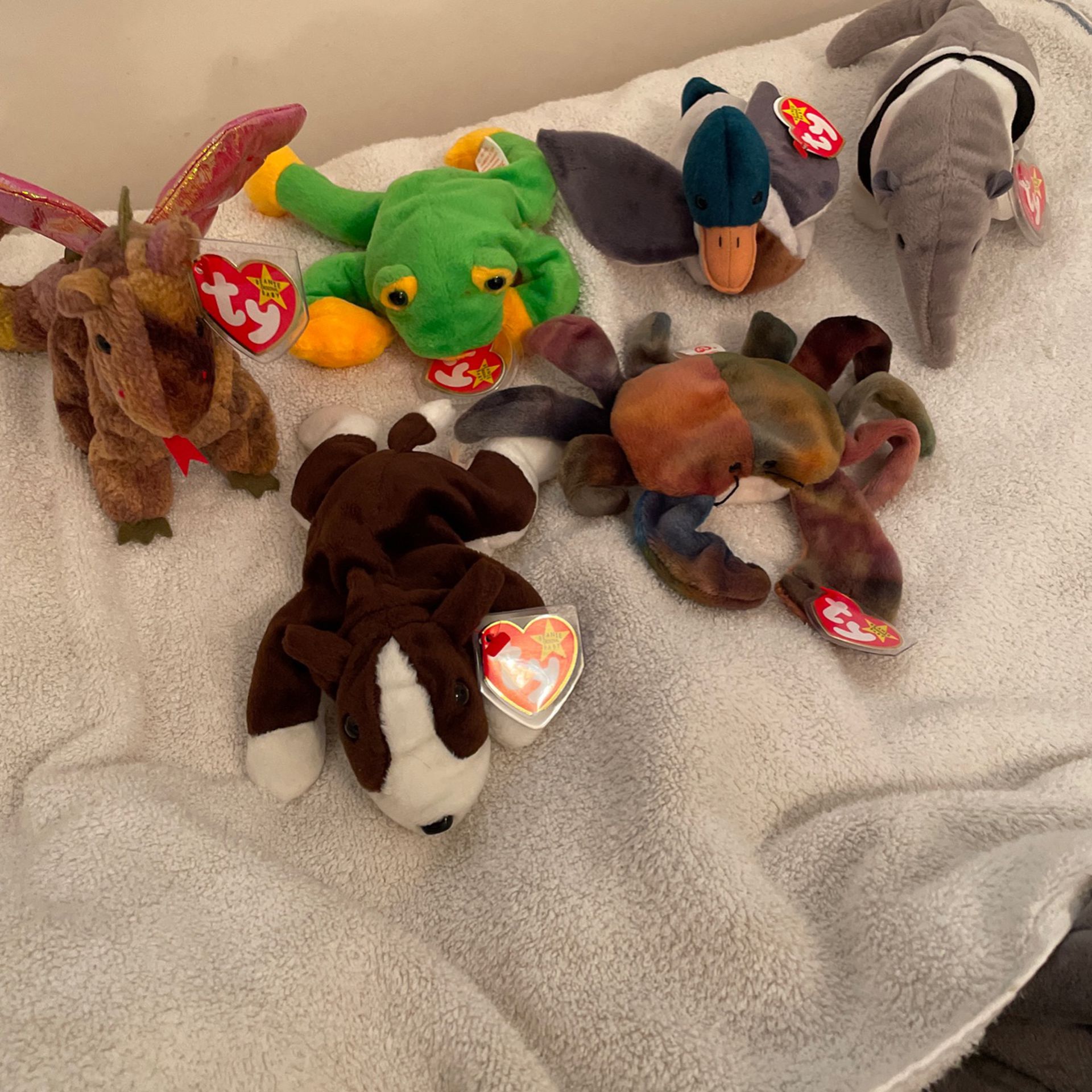 Retired Beanie Babies Collection