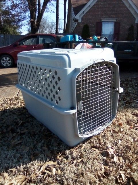 Dog Kennel