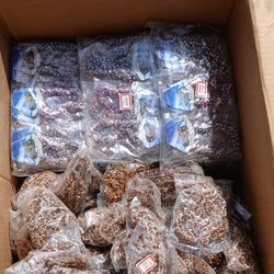 Brazaletes  Real Shell And Seads