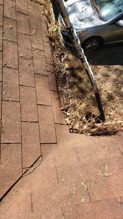 Clean Gutters And Roofs