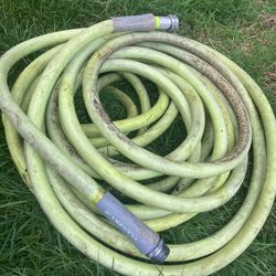 Flexzilla Hose 50’