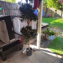 Fake plants 100 each