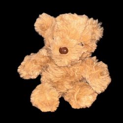 Tan teddy bear with brown nose 