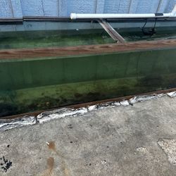 Aquarium Supplies