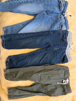 2t cat jack pants