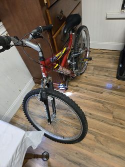 Mountain Bike