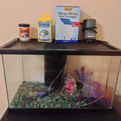 Aquarium 