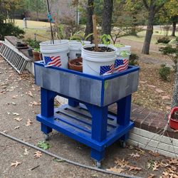 2 Mobile Ice/product Carts