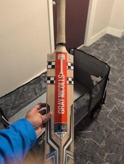 Gray Nicolls English Willow Perfect Condition