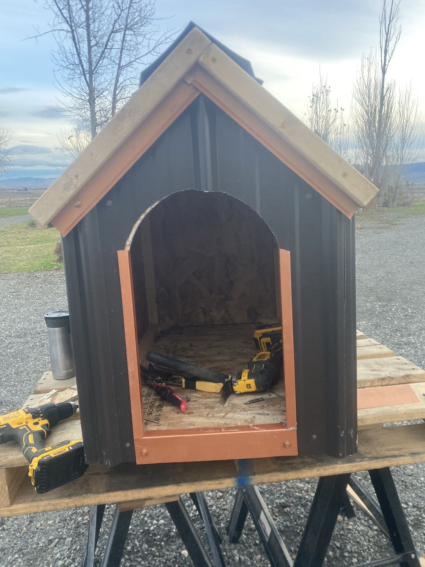 Dog House