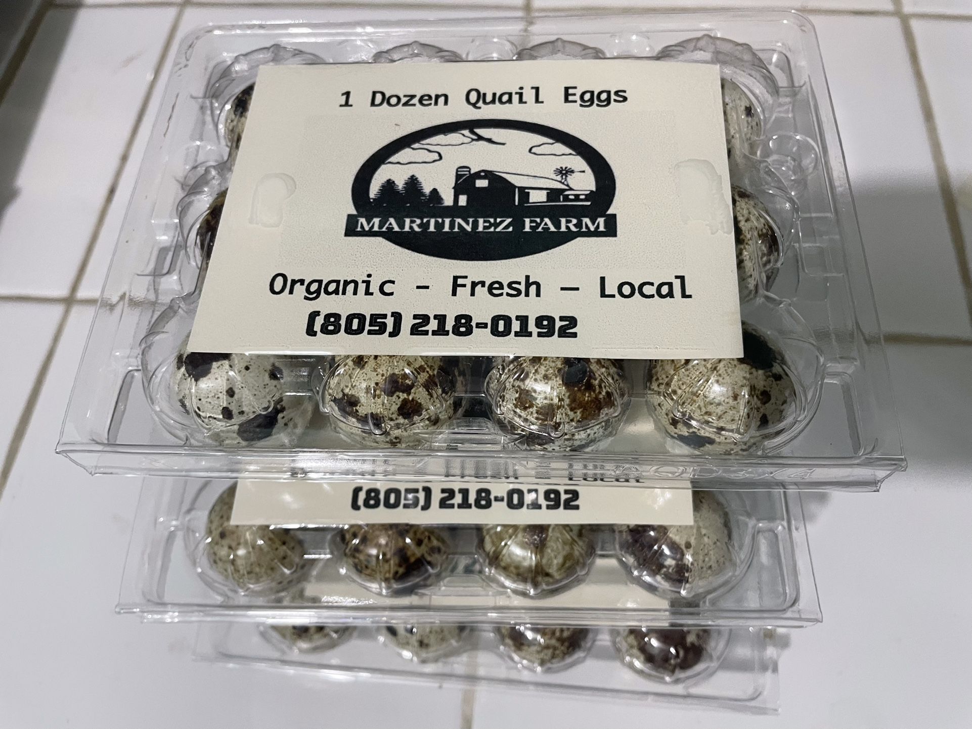 1 Dozen Fresh Quail Eggs