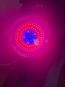 2 complete growing systems with lights