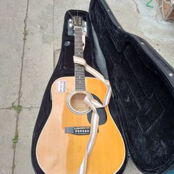 Electric Acoustic Guitar