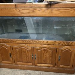 Fish Tank