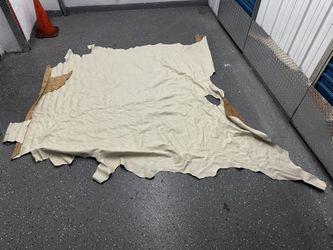 Leather Hides
