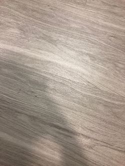 Cirque solei zumanity