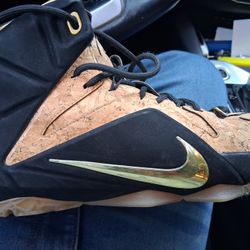 LeBron James King Cork Nikes 