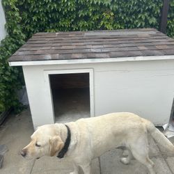 Dog House