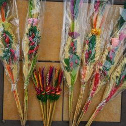 Easter Palm (Europe Easter Verb ) 