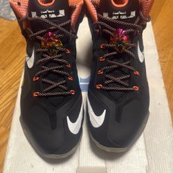 Lebron 11 Elites (Size 12)