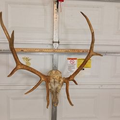 Huge Rack