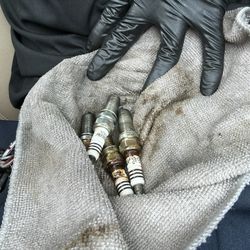 Spark Plugs 