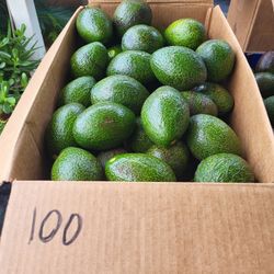 Aguacates Organicos