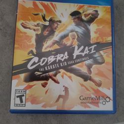 COBRA KAI
THE KARATE KID SAGA CONTINUES