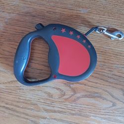 Dog Leash