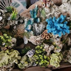 An abundance of aquarium decorations from small to extremely large