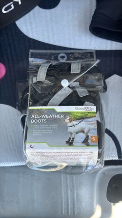 Dog shoes