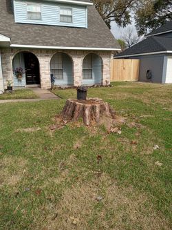 Stump Grinding