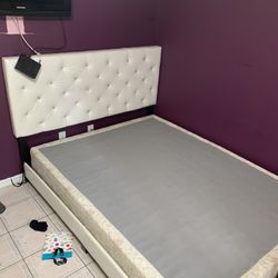 the bed and the backrest both