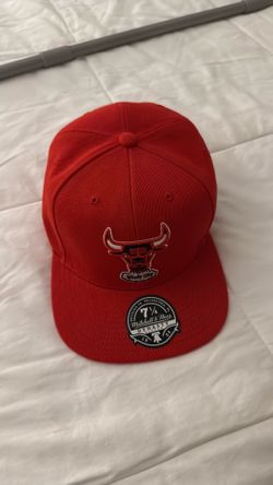 Never worn Bulls hat