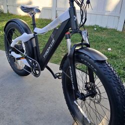 Electric Bike
