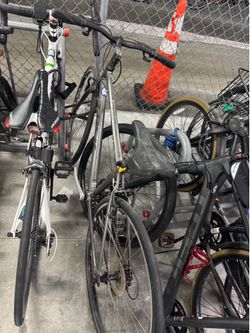 Used Hybrid Trek Bicycle - Brickell Pick-Up