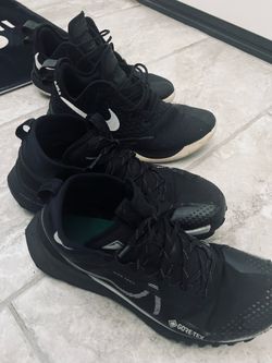 Two Shoes for Sale Nike LeBron Witness 3 Pegasus Trail Gore-Tex Men’s sz 11