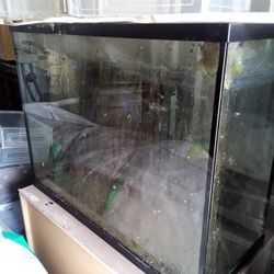 75 Gallon Fish Tank