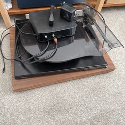 Rega P8 turntable w/ Apheta 2  cartridge,