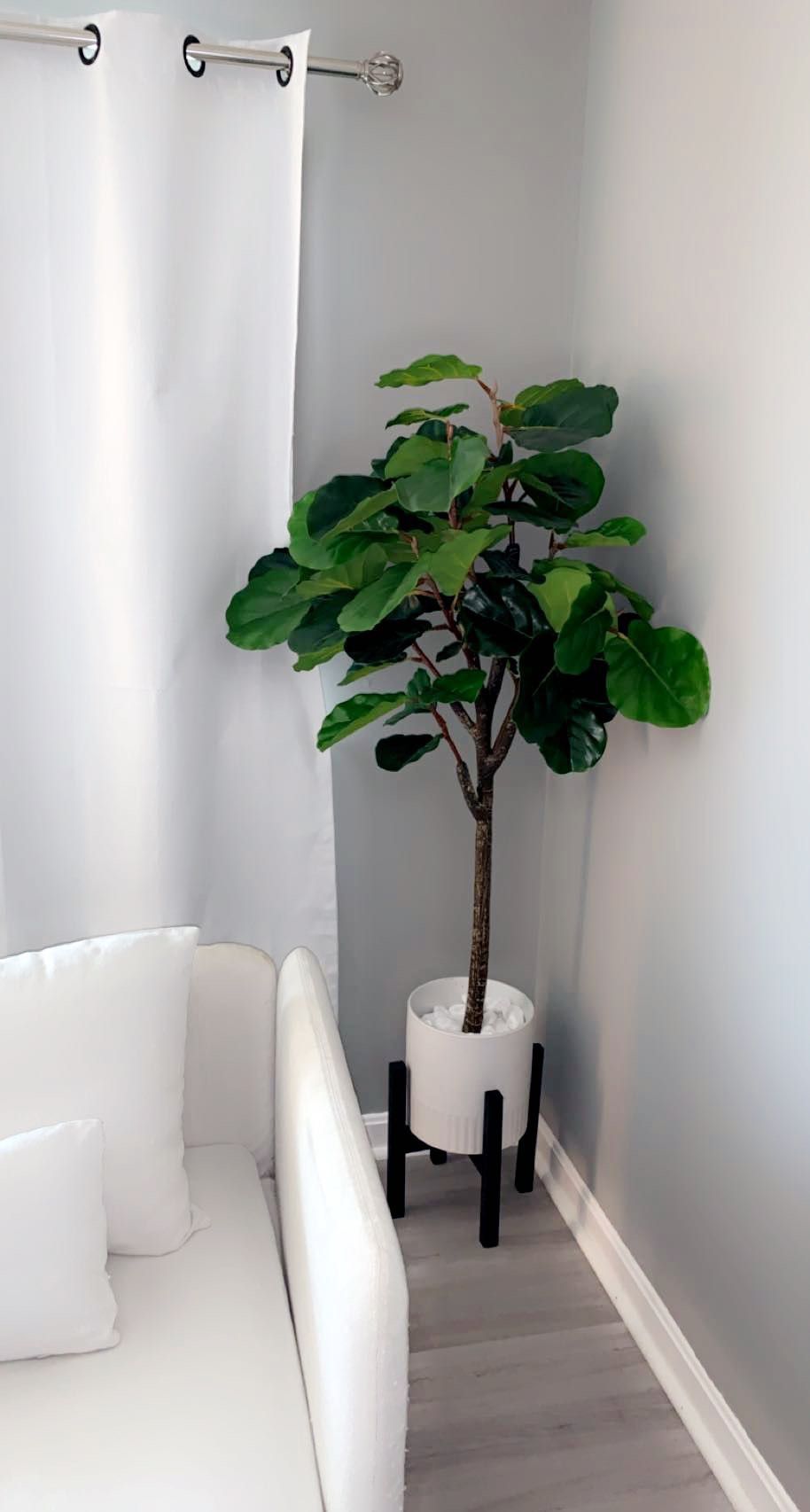 MID-CENTURY MODERN 5.5 FT FAUX FIDDLE LEAF FIG