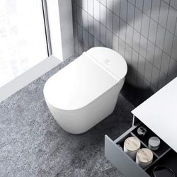 StudioLux One Piece Intelligent Toilet