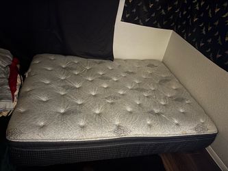 $100 obo huge queen bed