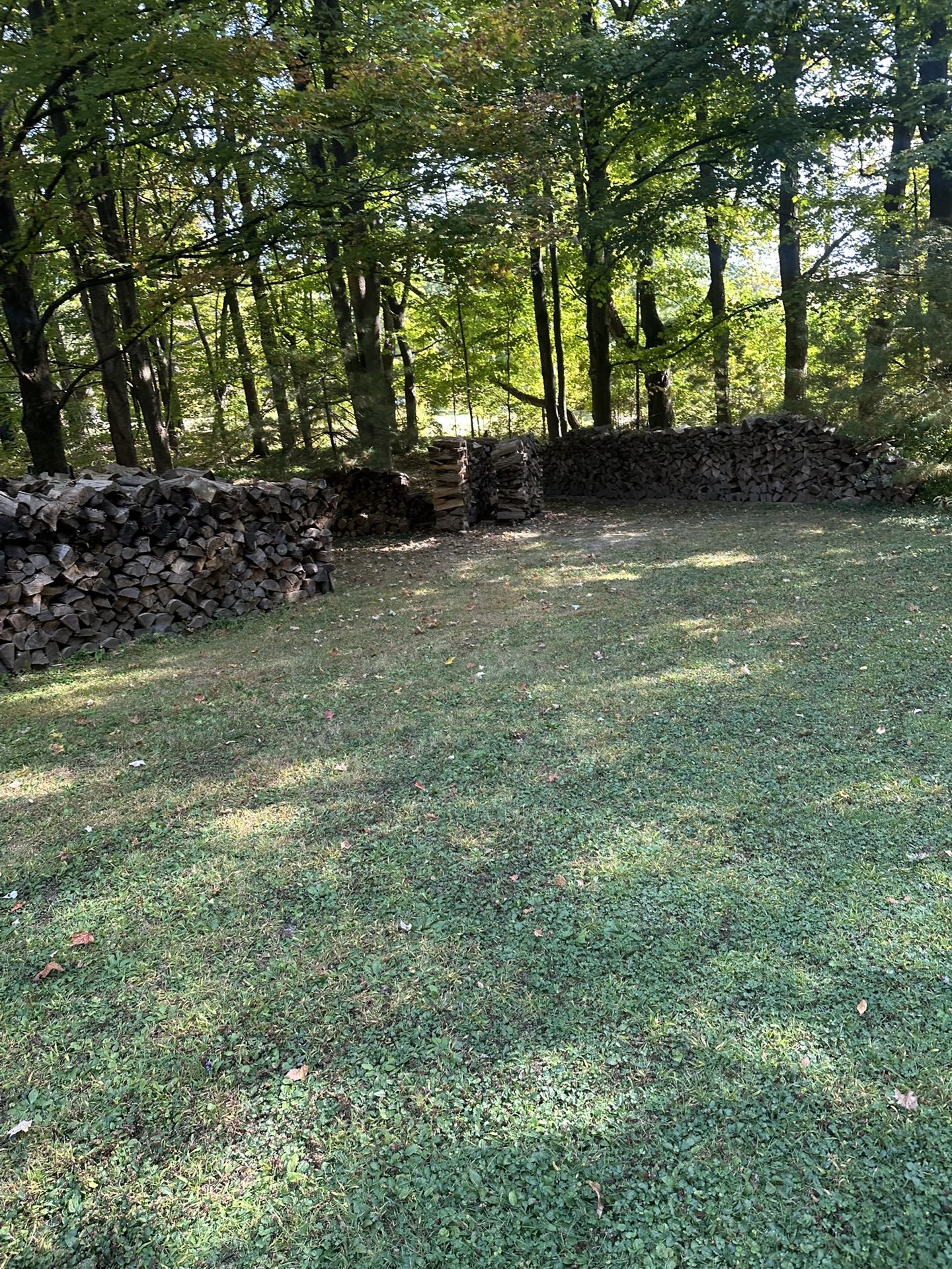 Fire Wood