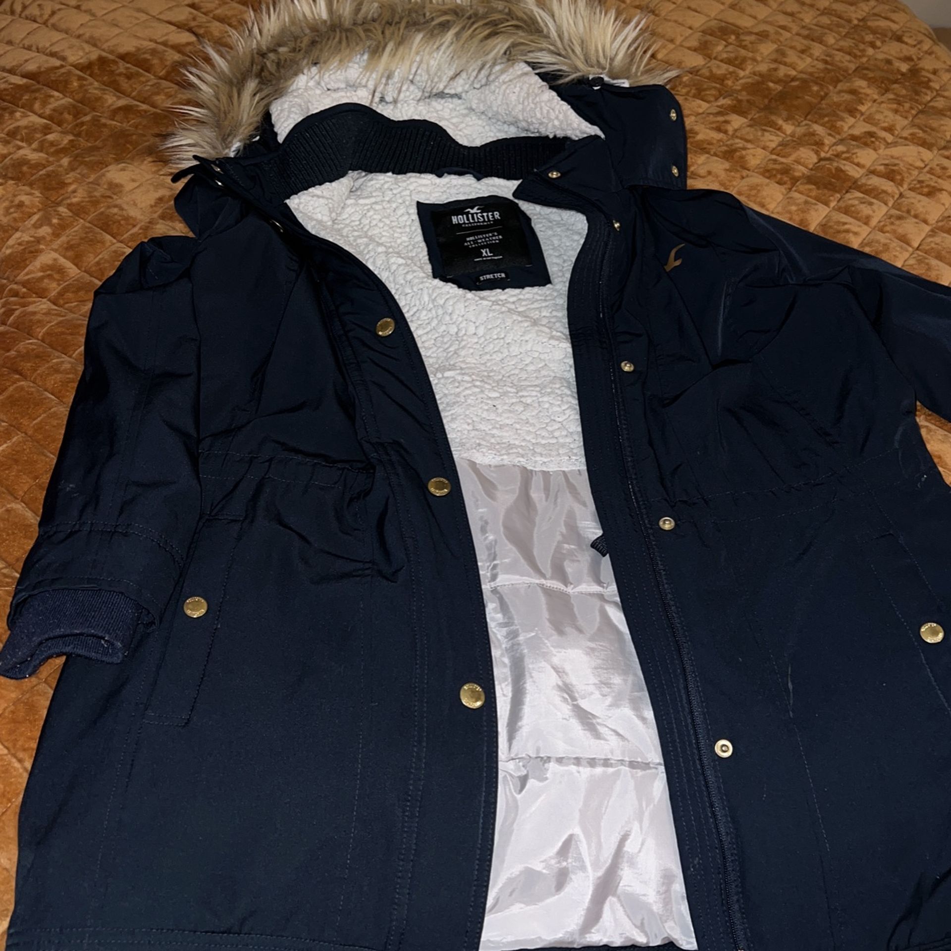Hollister Jacket