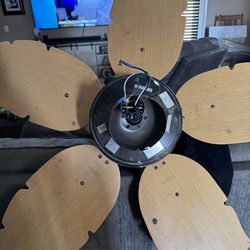 Indoor / Outdoor Ceiling Fan 
