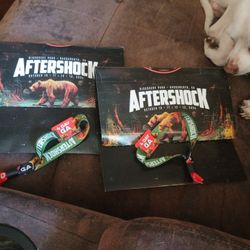 4 Day General Admission Aftershock Wristbands