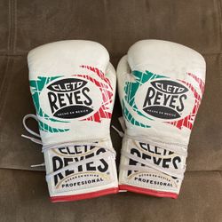 Reyes Boxing Gloves