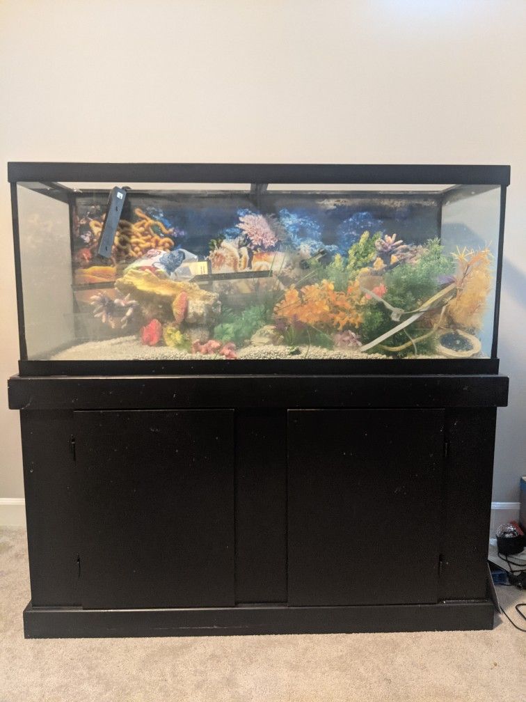 Fish Tank - Aquarium About 70 Gallon